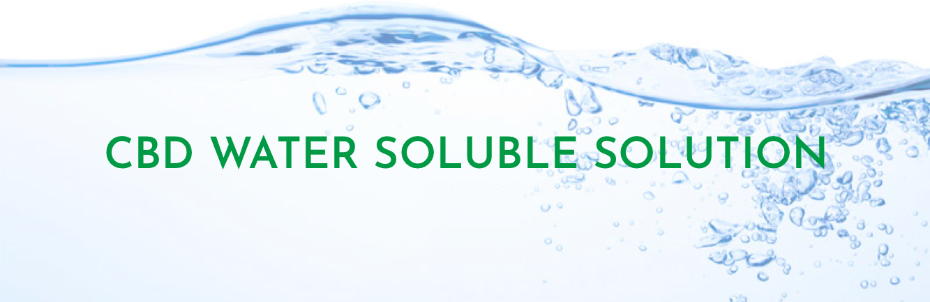 Bulk Water Soluble CBD